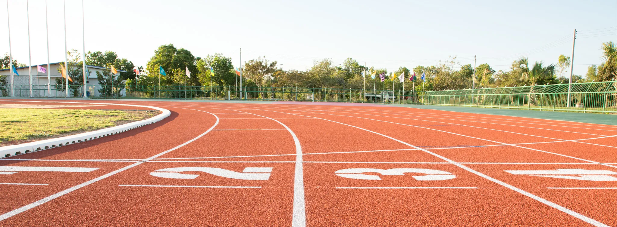 The starting line of a track with a view of the fencing and trees beyond